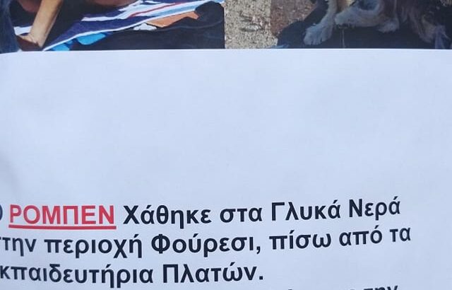 ΧΑΘΗΚΕ Ο ΡΟΜΠΕΝ ΑΠΟ ΓΛΥΚΑ ΝΕΡΑ / ΦΟΥΡΕΣΙ Σκύλος- Γλυκά Νερά