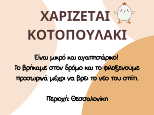 Χαρίζεται κοτοπουλάκι Είναι μικρό και αγαπησιάρικο! Το βρήκαμε στον δρόμο και το φιλοξενούμε προσωρινά μέχρι να βρει το νεο του σπίτι. Περιοχή: Θεσσαλονίκη *Παρακαλώ Πτηνό- Θεσσαλονίκη