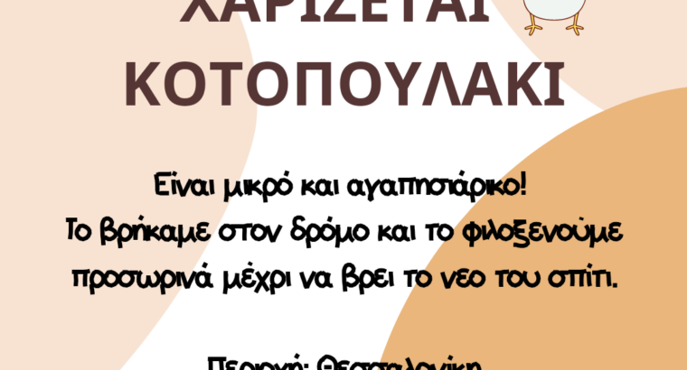 Χαρίζεται κοτοπουλάκι Είναι μικρό και αγαπησιάρικο! Το βρήκαμε στον δρόμο και το φιλοξενούμε προσωρινά μέχρι να βρει το νεο του σπίτι. Περιοχή: Θεσσαλονίκη *Παρακαλώ Πτηνό- Θεσσαλονίκη