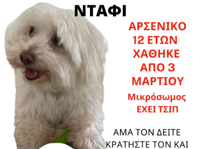 ΧΑΘΗΚΕ ΣΚΥΛΑΚΙ ΑΣΠΡΟ Σκύλος- Παλαιό Ψυχικό