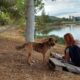 Χαρίζεται μεσαίο σκυλάκι 🐕 Σκύλος- Αγρίνιο